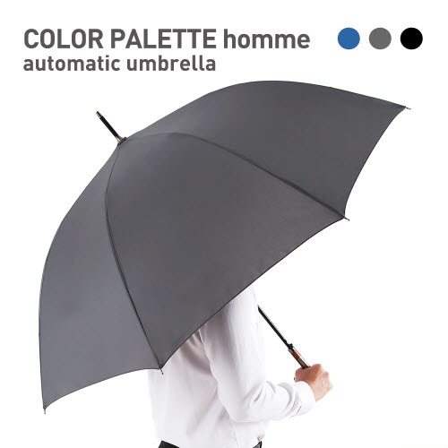 COLOR PALETTE homme 자동 장우산